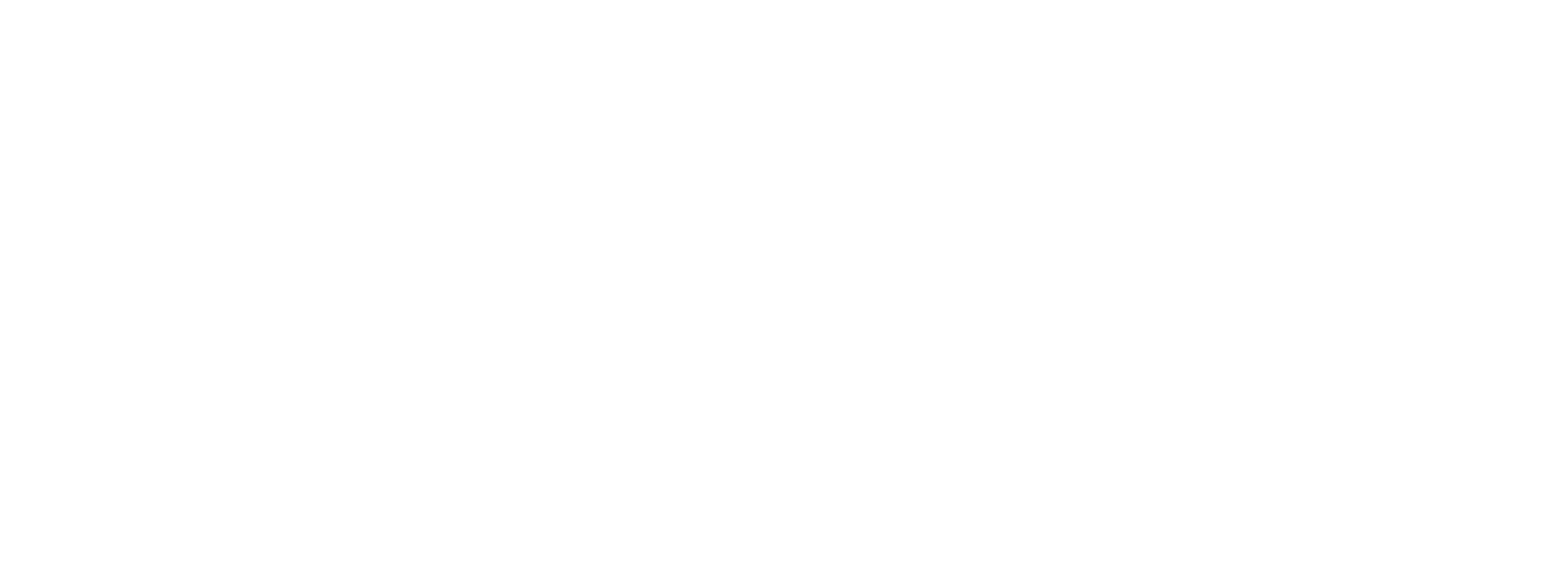Snowiki Logo